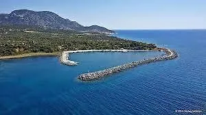 Catherine * Марониа